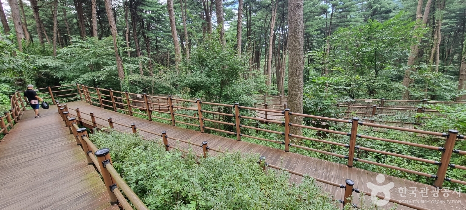 yeskids 1775248728 571 예스키즈존 탐험대 : 실패 없는 육아여행