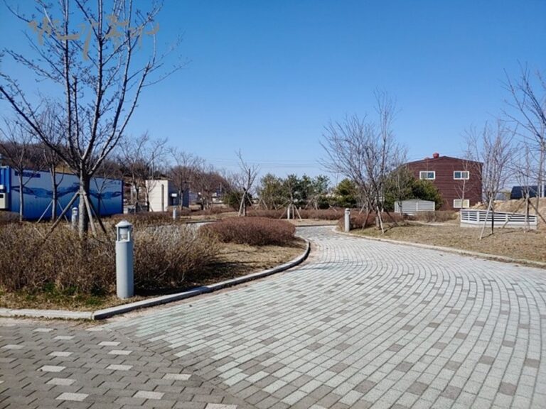 [예스키즈존] 김포레코파크