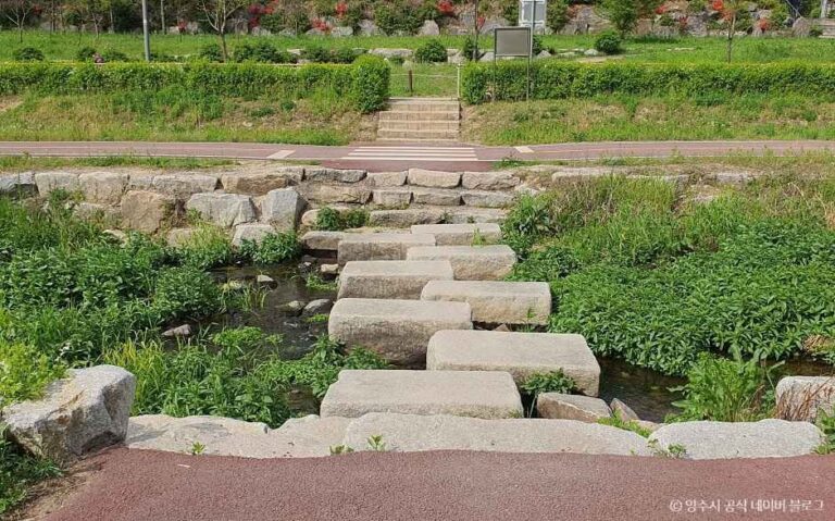 [예스키즈존] 옥정호수공원