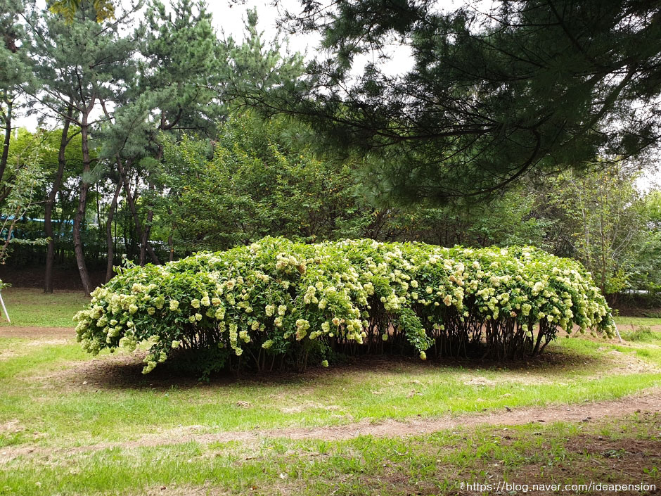 yeskids 1775248953 631 예스키즈존 탐험대 : 실패 없는 육아여행