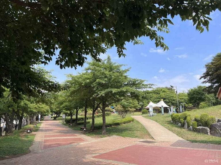 [예스키즈존] 반월공원