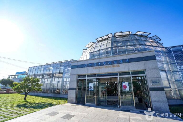 [예스키즈존] 선인장다육식물연구소(구 선인장연구소)