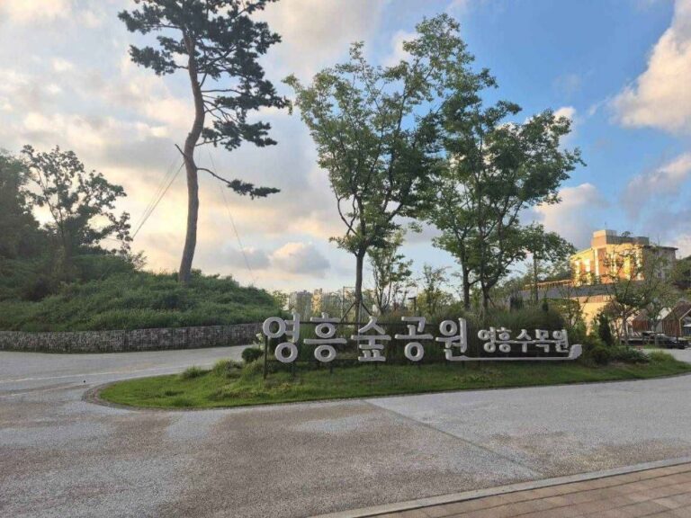 [예스키즈존] 영흥숲공원