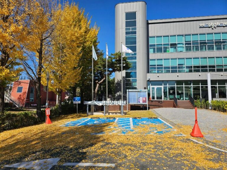 [예스키즈존] 양평 생활문화센터