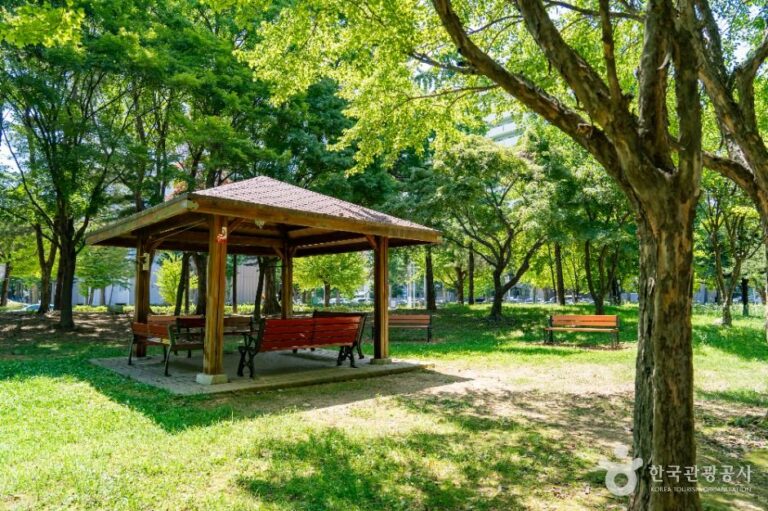 [예스키즈존] 성포예술공원