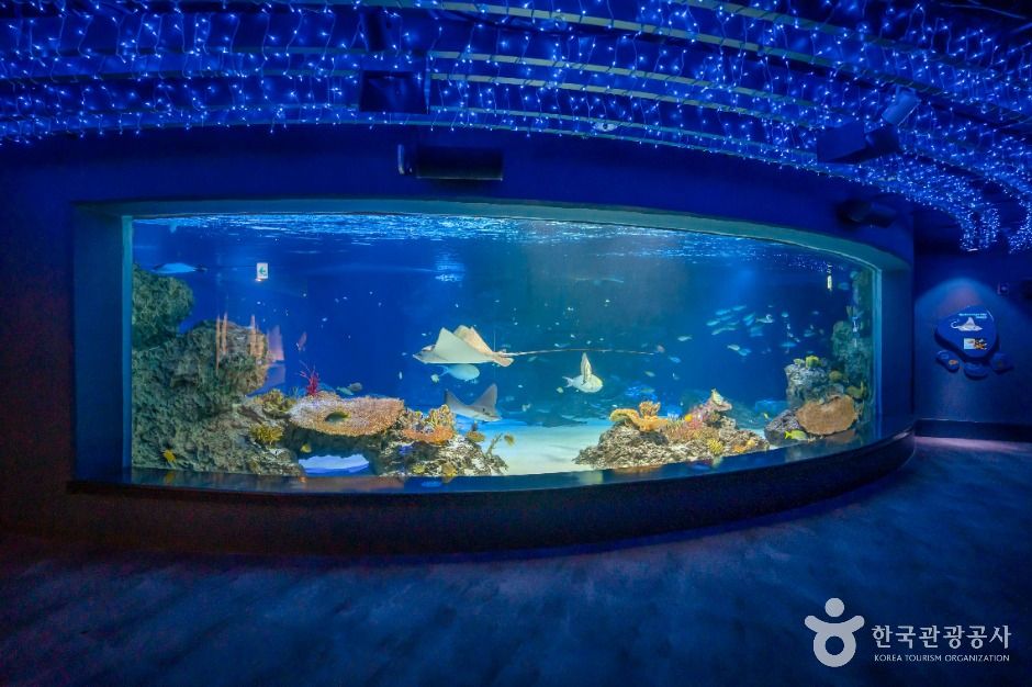 yeskids 1775251128 408 예스키즈존 탐험대 : 실패 없는 육아여행