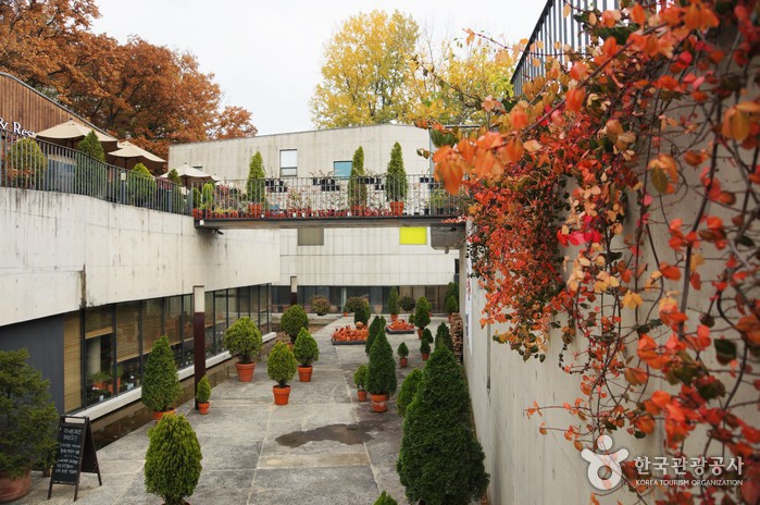 [예스키즈존] 지앤아트스페이스