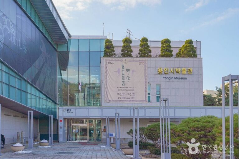 [예스키즈존] 용인시박물관