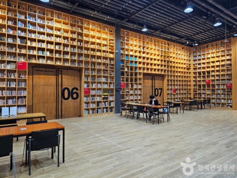 [예스키즈존] 지혜의 숲