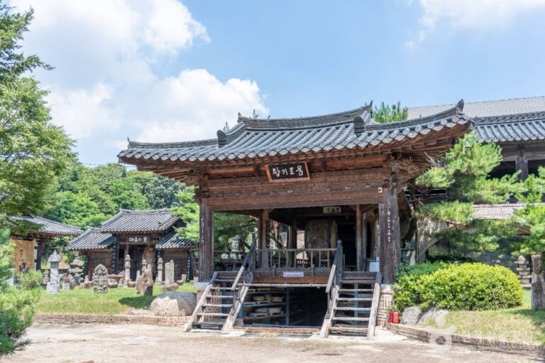 [예스키즈존] 목아박물관