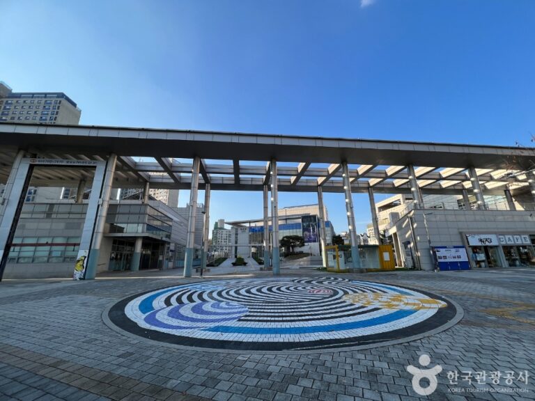 [예스키즈존] 하남문화예술회관