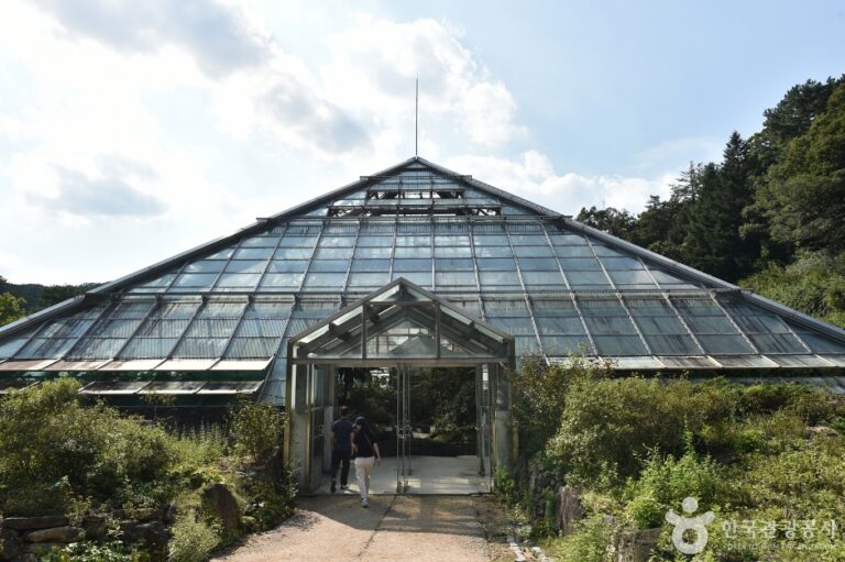[예스키즈존] 국립수목원 산림박물관
