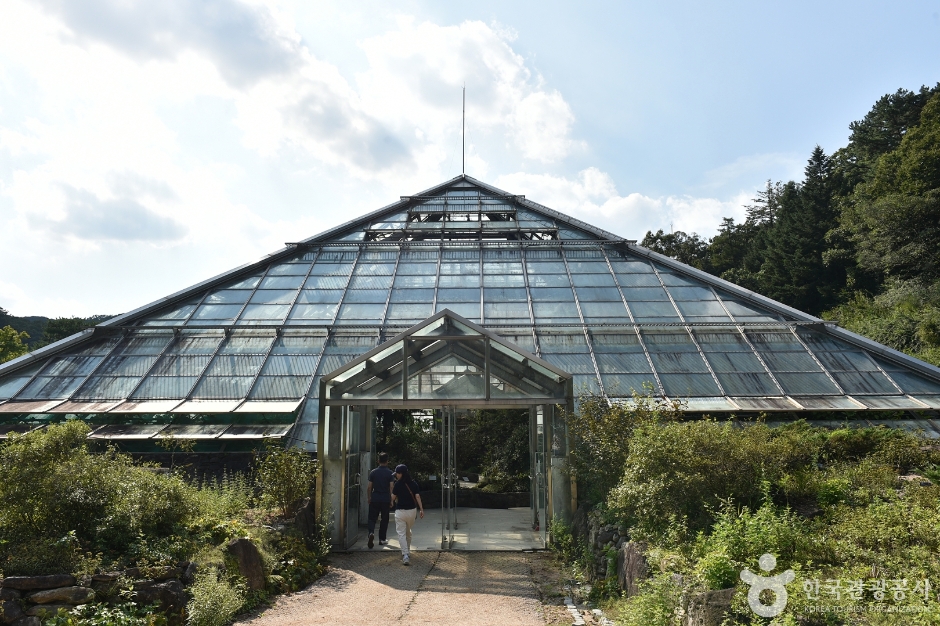 yeskids 1775253255 266 예스키즈존 탐험대 : 실패 없는 육아여행