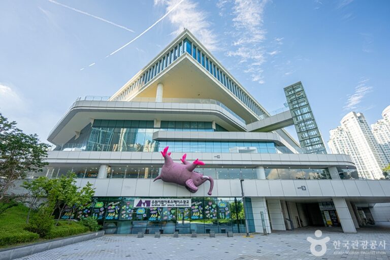 [예스키즈존] 수원시립아트스페이스광교