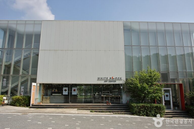 [예스키즈존] 아트센터 화이트블럭
