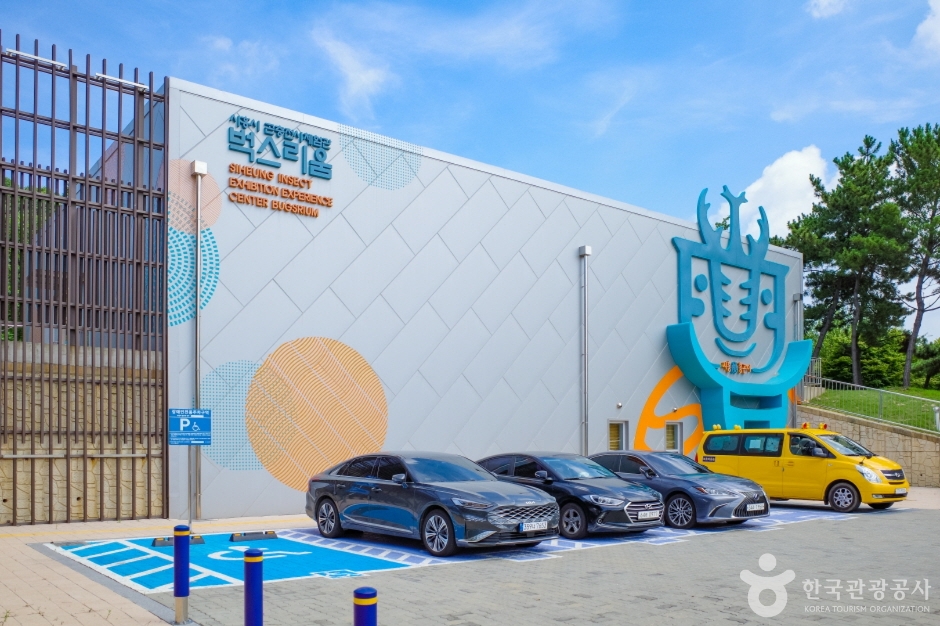 yeskids 1775253439 469 예스키즈존 탐험대 : 실패 없는 육아여행