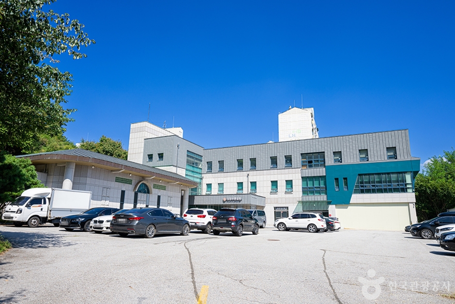 yeskids 1775253579 314 예스키즈존 탐험대 : 실패 없는 육아여행