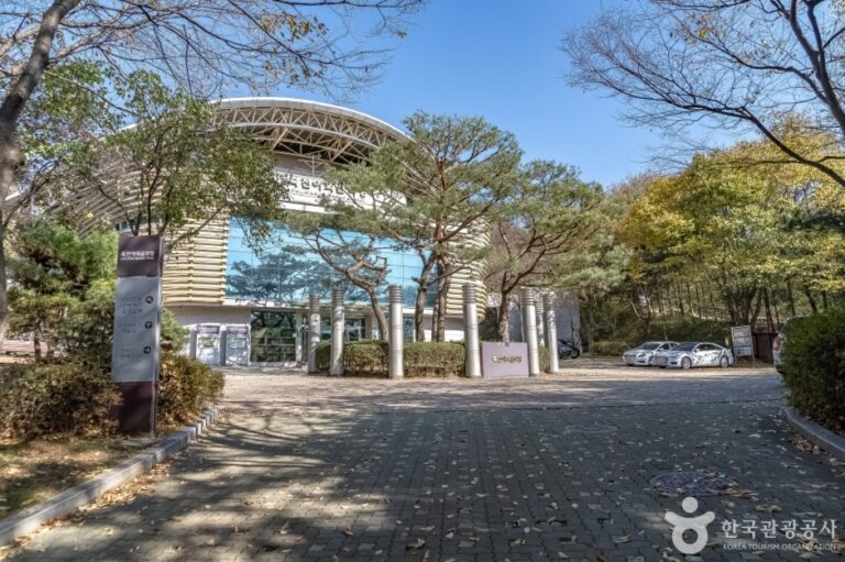 [예스키즈존] 죽전야외음악당