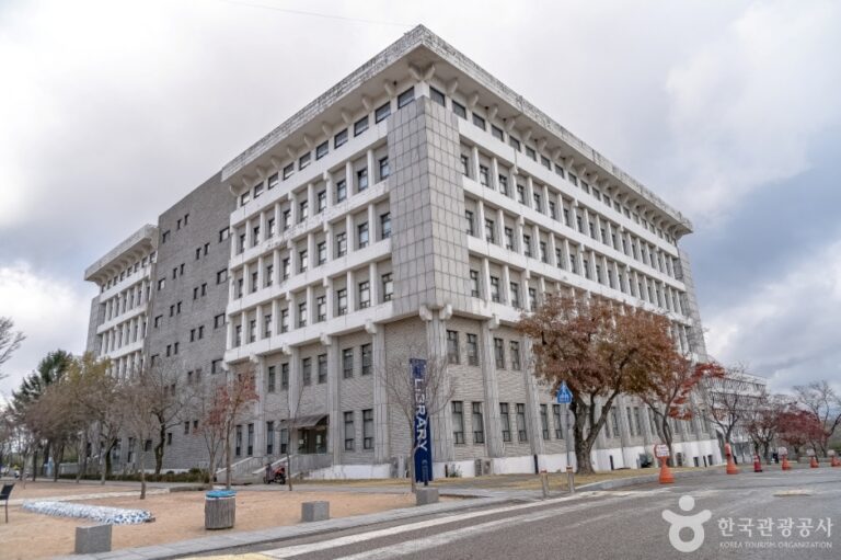 [예스키즈존] 명지대학교 박물관