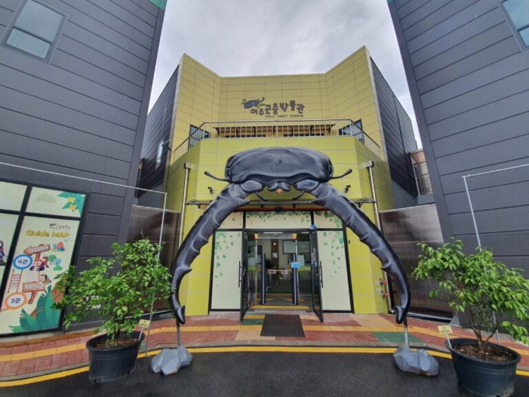 [예스키즈존] 여주곤충박물관