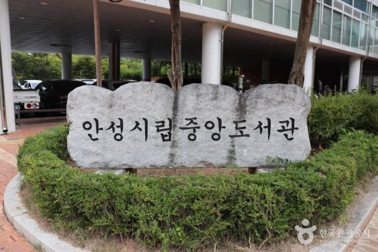 [예스키즈존] 안성시 중앙도서관