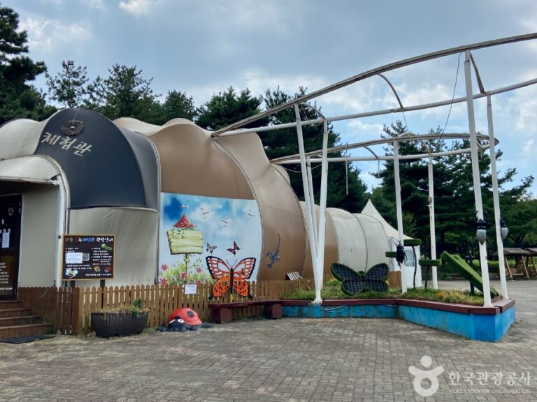 [예스키즈존] 와동 생태곤충 체험관