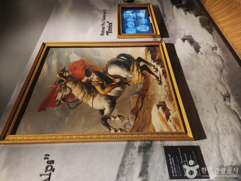 [예스키즈존] 나폴레옹갤러리