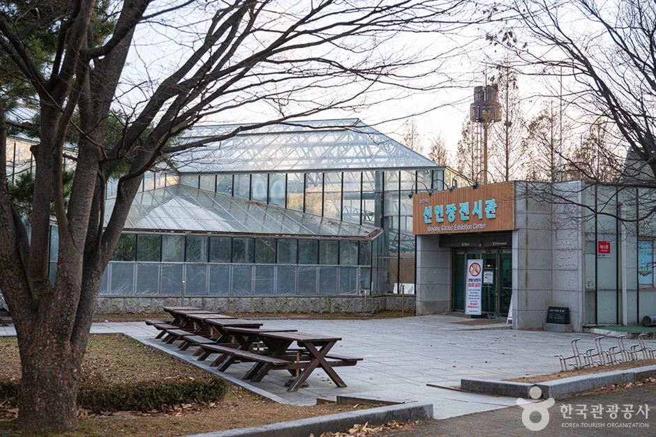 yeskids 1775334047 990 예스키즈존 탐험대 : 실패 없는 육아여행