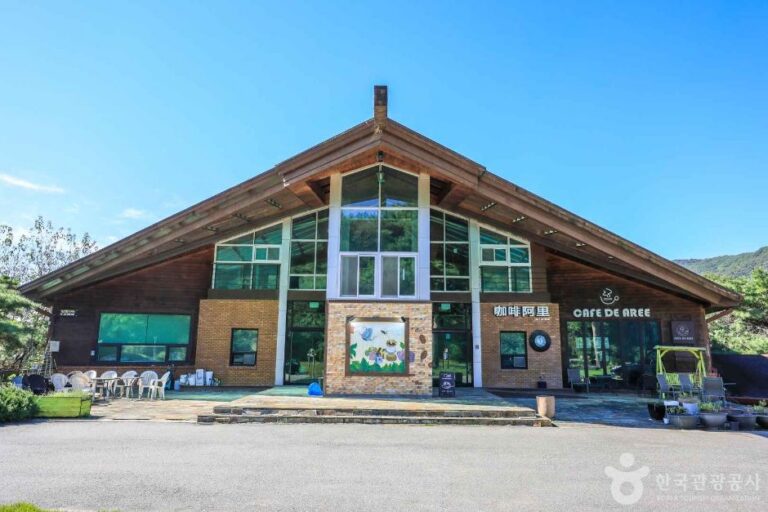 [예스키즈존] 예아리박물관