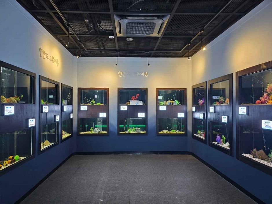 yeskids 1775335074 425 예스키즈존 탐험대 : 실패 없는 육아여행