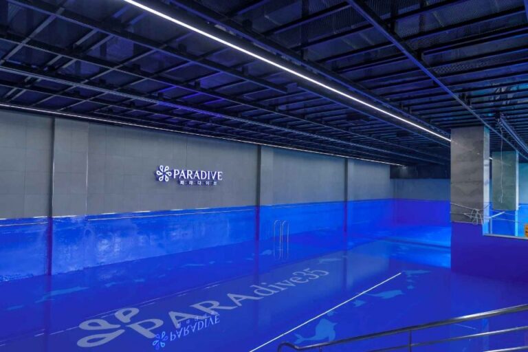 [예스키즈존] 파라다이브