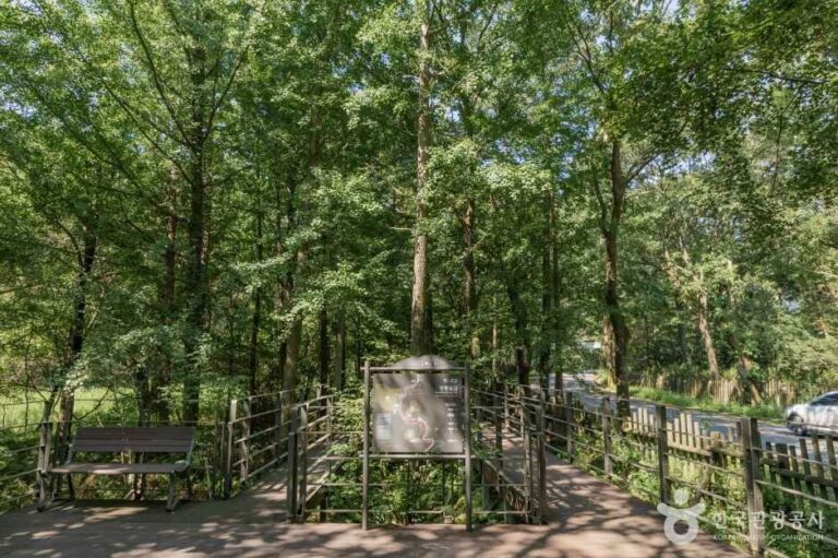 [예스키즈존] 광릉숲길
