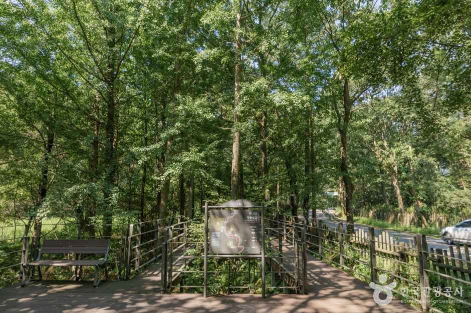 yeskids 1775335945 424 예스키즈존 탐험대 : 실패 없는 육아여행