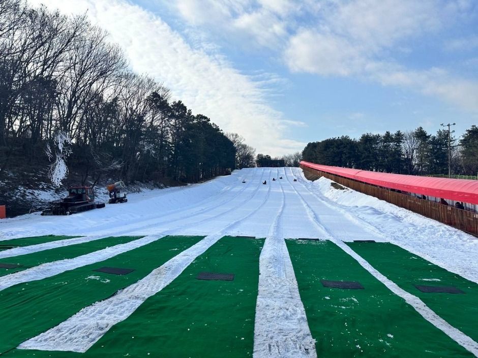 yeskids 1775335981 847 예스키즈존 탐험대 : 실패 없는 육아여행