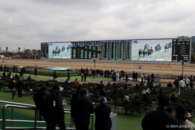 [예스키즈존] 렛츠런파크 서울