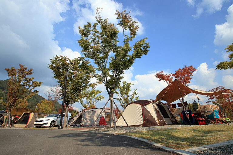 [예스키즈존] 연천재인폭포오토캠핑장
