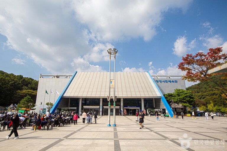 [예스키즈존] 광명시민체육관