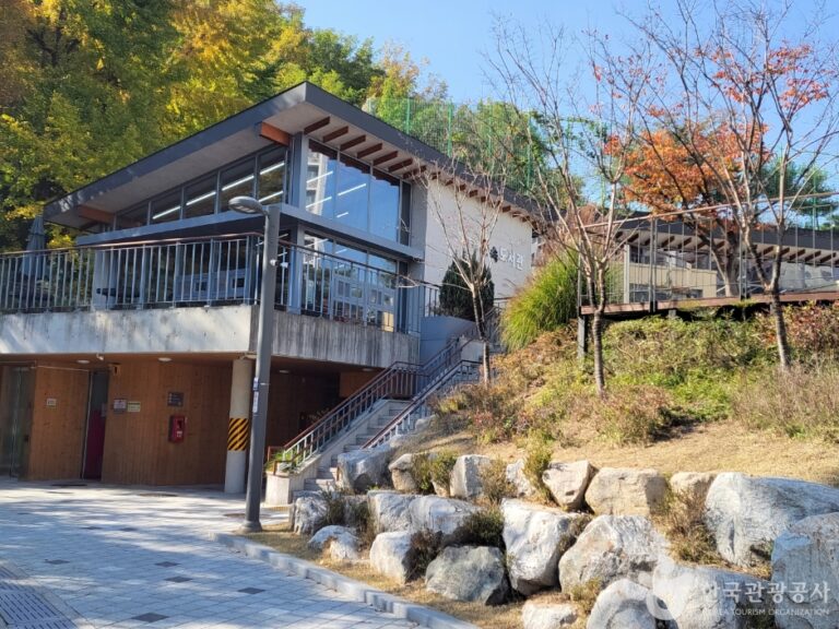 [예스키즈존] 성동구립매봉산숲속도서관