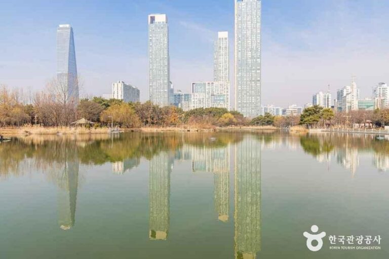 [예스키즈존] 해돋이공원