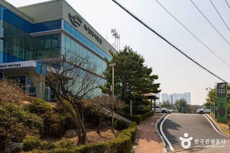 [예스키즈존] 녹청자박물관