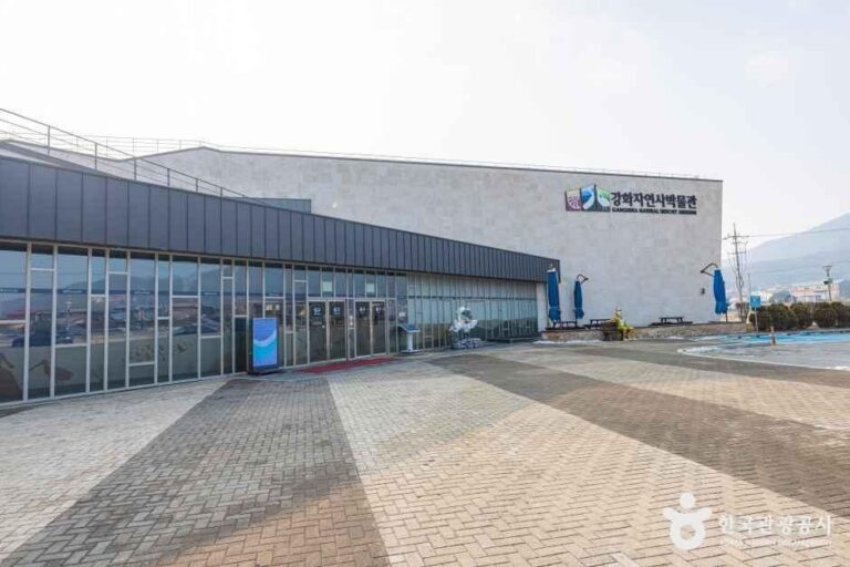 [예스키즈존] 강화자연사박물관