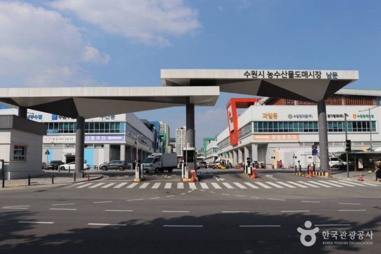 [예스키즈존] 수원 농수산물도매시장