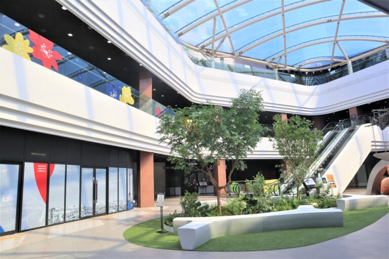 [예스키즈존] 아브뉴프랑 광명점