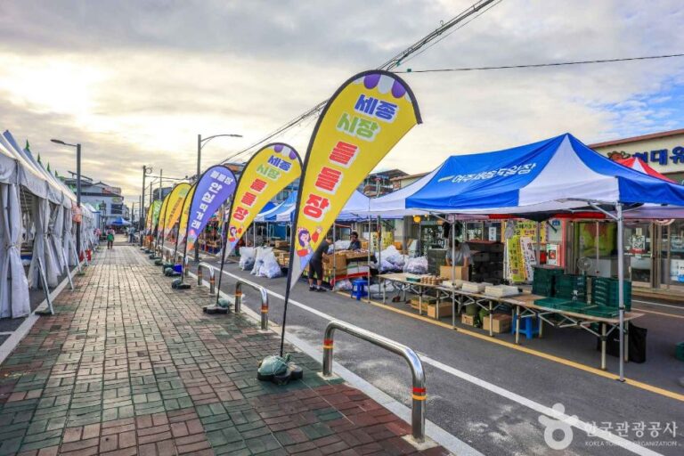 [예스키즈존] 여주장 (5, 10일)