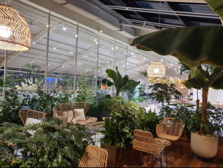 [예스키즈존] 카페아스타나