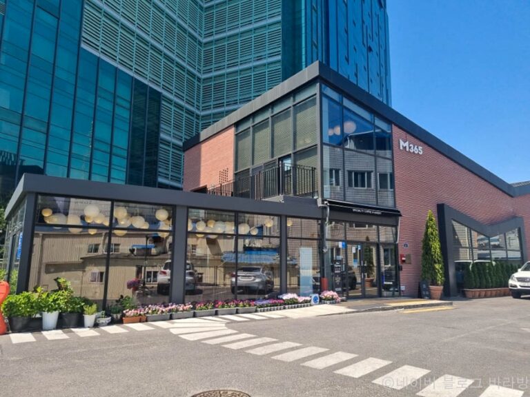 [예스키즈존] M365