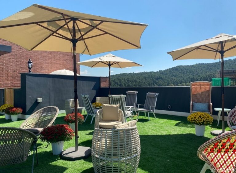 [예스키즈존] 카랑코에