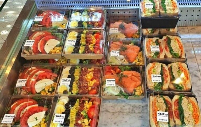 [예스키즈존] 아르보르