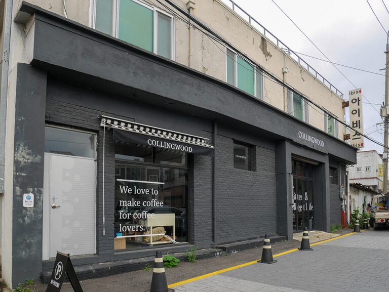 [예스키즈존] 콜링우드