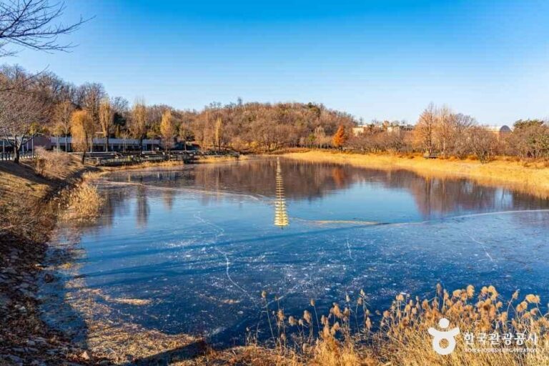 [예스키즈존] 서서울호수공원
